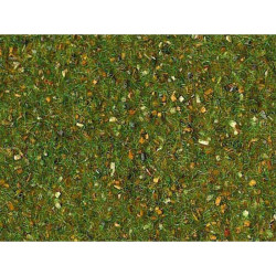 Trávní koberec -lesní půda-