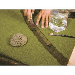 Trávní koberec -lesní půda-