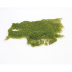 Divoká tráva -lesní půda-