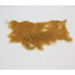 Divoká tráva - začátek podzimu