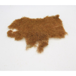 Divoká tráva - pozdní podzim