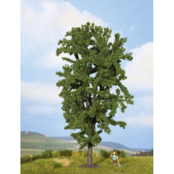 0,H0,TT,N - jírovec 19 cm